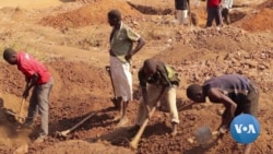 Malawi Farmers Rush to Gold Amid Poor Harvests