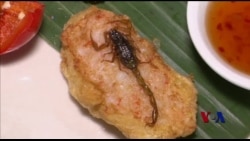 饮食新风尚—昆虫料理