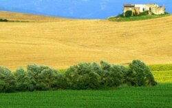A view of the Italian countryside at Bagno Vignoni near Siena in central Italy.