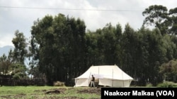 Faayilii - Wiirtuu filannoo, Oromiyaa