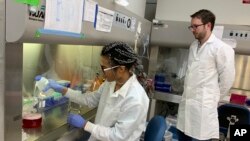 لەم وێنەیەدا، دوو لێکۆڵەر لە سان فرانسیسکۆ سەرقاڵی ئەوەن ماددە خۆراکییەکان بدەن بە خانەی گۆشتی بەراز بەمەبەستی گەشەپێدانی خانە ماسولکەییەکانی. تاقیگەکە لەلایەن کۆمپانیای نیو ئەیج میتس دابینکراوە، کە کاری کۆمپانیاکە بریتییە لە دابینکردنی بەرهەمەکانی گۆشتی بەراز لە سان فرانسیسکۆ.