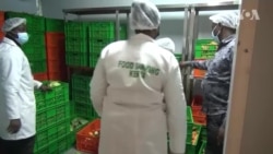 Yadda Manoman Afirka Ke Daukan Matakan Amfani Da Fasaha Wajen Yaki Da Sauyin Yanayi