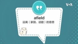 学个词 - afield