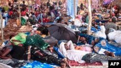 በግጭቱ መባባስ በሺዎች የሚቆጠሩ ወደ ሱዳን እየተሰደዱ ነው