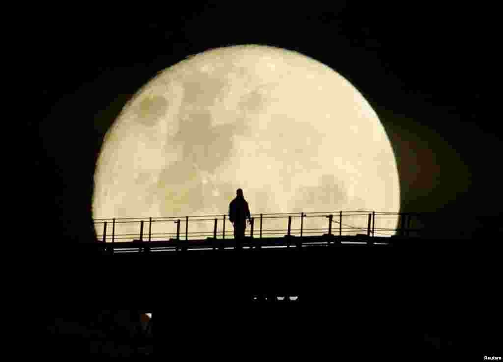 Seorang pria berjalan di jembatan Sydney Harbour dengan latar belakang supermoon di Sydney, Australia.