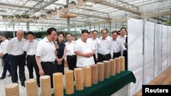 지난달 20일 중국을 방문한 김정은 북한 국무위원장이 중국농업과학원 연구시설을 둘러봤다.