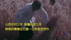 山西农村三年，新疆兵团九年