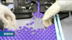 美国观察(2020年12月3日)