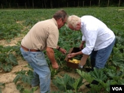 Chef Ype with farmer Chris Parker, July 29, 2014. (Julia Taboh/VOA)