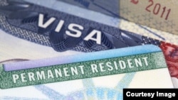 图为美国绿卡和移民签证。