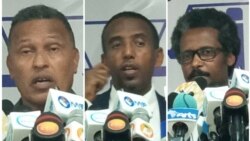 ኢዜማ አራት መቶ አቤቱታዎችን አስገብቷል