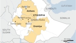 በቦረና አምስት ሰዎችን የገደሉ በቁጥጥር ሥር ዋሉ