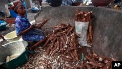 FILE: A woman peels cassava to make cassava flour in a market in Lagos, Nigeria, May 2013.