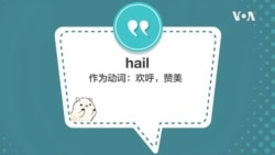学个词 - hail