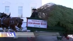 თეთრი სახლი შობა-ახალი წლისთვის უკვე მორთეს