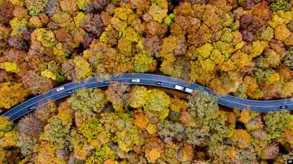 Traffic rolls through a colorful forest in the Taunus region in Usingen near Frankfurt, Germany.