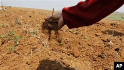 Petani Korea Utara terpukul akibat kekeringan parah yang melanda tahun ini (foto: dok).