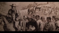 Freedom House-Kölə evi