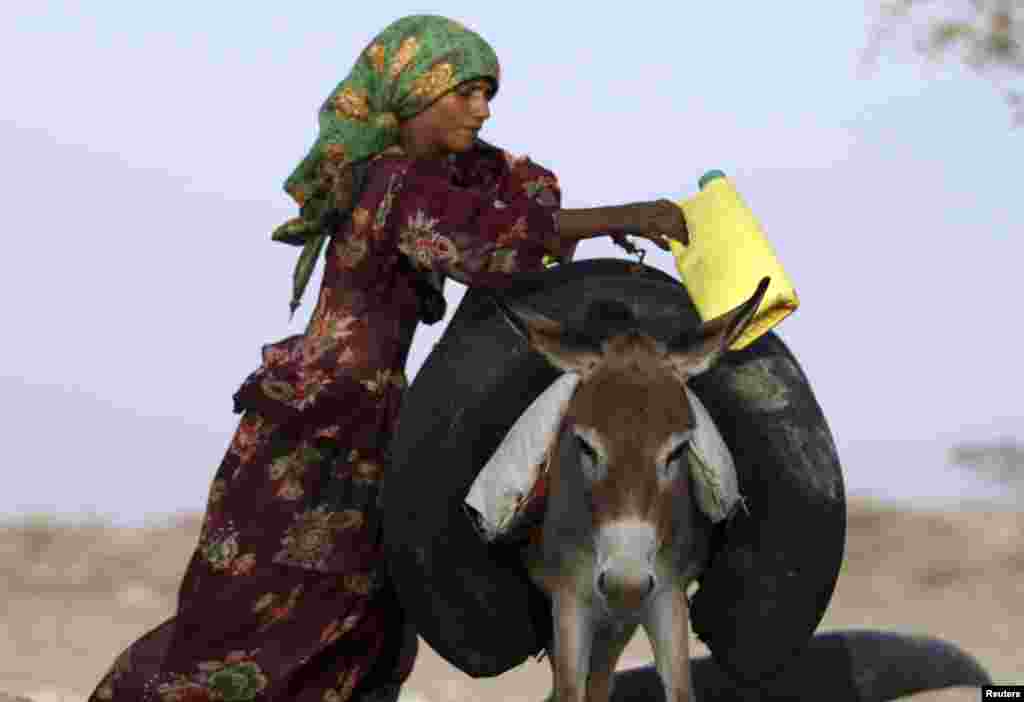 Seorang perempuan Yaman menggantung ban yang diisi dengan air, di atas seekor keledai, di dekat sebuah sumur air di Taiz, Yaman selatan.