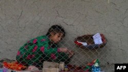 Dəyirmi Masa: Azərbaycanda iranlı qaçqınların problemləri