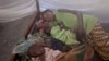 FILE - Two children and their mother rest under a mosquito net.