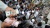 An Afghan trader holds U.S. dollar and Afghani bundles at the Saray- e Shahzadeh, the main exchange market in Kabul, Afghanistan, Sept. 18, 2011.