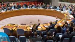 በኅዳሴ ግድብ ጉዳይ በአፍሪካ ሕብረት የተጀመረው ድርድር እንዲቀጥል የጸጥታው ምክር ቤት አባላት አሳሰቡ