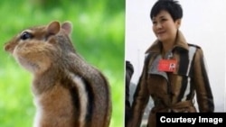 李小琳被讥讽与硕鼠“撞衫了！” （推特图片）