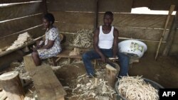 FILE - Cameroonian refugees make chewing sticks for cleaning teeth to earn a living at a temporary home in Agborkim town, Etung district of Cross Rivers State, southeast Nigeria, Feb. 2, 2018.