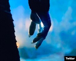 ناخنهای شاه شب