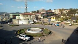 የቤት ለቤት አሰሳ በደሴ