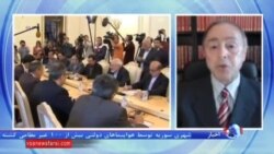 رضا تقی زاده، تحلیلگر مسایل ایران