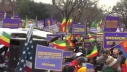 “አሜሪካና ምዕራባዊያን ጫናቸውን እንዲያቆሙ” ዋሺንግተን ዲሲ አደባባይ የወጡ ትውልደ ኢትዮጵያዊያን ጠየቁ