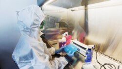 ስለ አዳዲሶቹ የኮሮና ቫይረስ ዝርያዎች -ቆይታ ከ ዶ/ር ኤርሚያስ በላይ