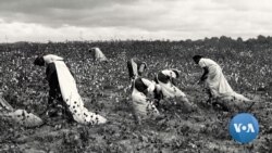 19-cu əsrdə Cənub ştatlarındakı qulların Şimala qaçırılaraq azad edilməsində Vilyam Pennin dindaşları Kveykerlər önəmli rol oynayırdı.
