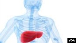 ሄፓታይተስ - ሲ 