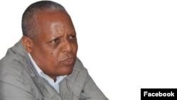 የኦሮሞ ፌዴራሊስት ኮንግሬስ ሊቀመንበር ፕሮፌሰር መረራ ጉዲና