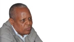“እኔ እስከማውቀው ወደ ኃይል እርምጃ የሚገባው መንግሥት ነው”ዶ/ር መረራ ጉዲና