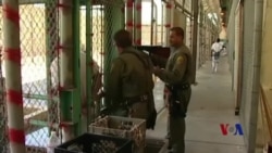 加州民众将投票决定废除死刑或强化死刑