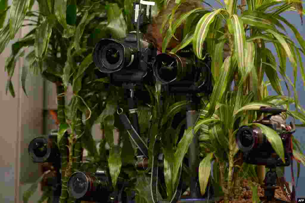 A photographer looks through his camera amidst other cameras set up to document German Chancellor and Christian Democratic Union candidate (CDU) Angela Merkel at a polling station in Berlin, Sept. 22, 2013.