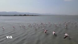 Li Wanê Wênekêşan jibo Balkişandina Ser Şûnwar û Xwezayê Wêne Kişandin