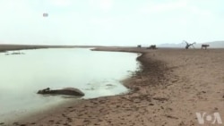 Sécheresse en Afrique du Sud