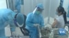 US Announces Vaccine Donations to Vietnam, Guatemala