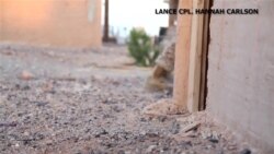 กองทัพสหรัฐฯ มองหาเทคโนโลยีสมัยใหม่เพื่อช่วยฝึกทหารอย่างปลอดภัย