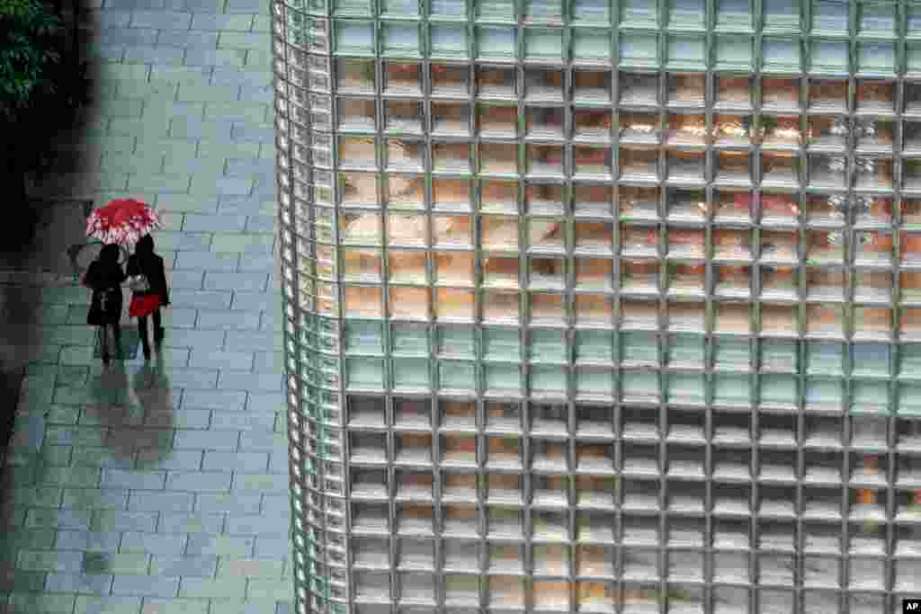 우산을 쓴 일본 도쿄 시민이 비오는 거리를 걷고 있다. 태풍 찬홈이 강한 바람과 폭우를 몰고 일본 남쪽 해상을 향해 북상하고 있다. 