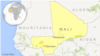 Militants Stage Deadly Raid in Central Mali
