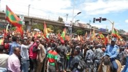 Waa’een Hidhannoo Hikkachuu Ajandaa Mariif Dhiyaate Hin Turre: Obbo Kaasaahun Gofee fi Obbo Daawud Ibsaa