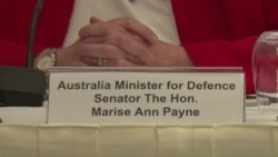 佩恩谈澳大利亚机会与挑战原声视频 （美国之音艾德摄）