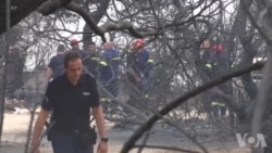 希腊雅典附近山火造成至少49人死亡