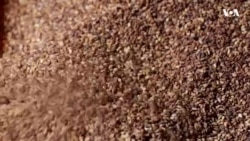 استخراج روغن کنجد به شکل سنتی در هرات